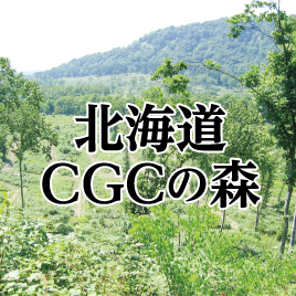 北海道CGCの森